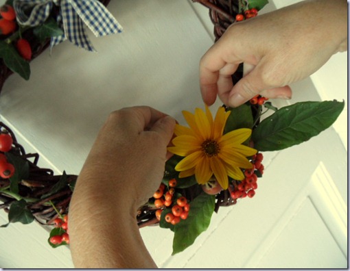 aggiunta helianthus 1024x768 aggiunta helianthus 1024x768