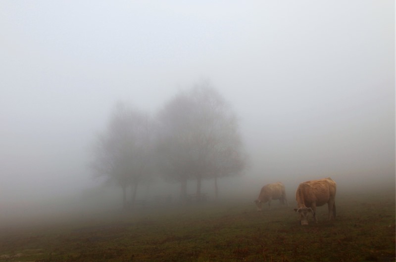 5461324829_93bfe60a9d_o