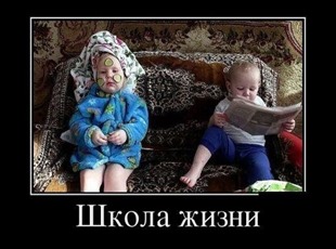 Школа жизни Школа жизни