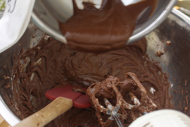 [adding%2520chocolate%2520to%2520nutella%2520mix%2520for%2520%2520Nutella%2520Turtle%2520Truffles%2520via%2520The%2520Shabby%2520Creek%2520Cottage%255B3%255D.jpg]