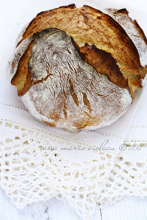 [No%2520knead%2520bread%25201%255B5%255D.jpg]