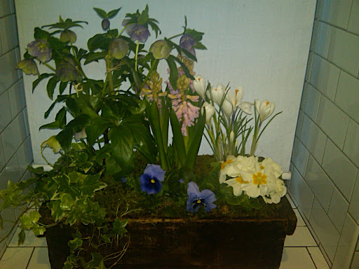 Corinne thought this little window box of flowers was pretty sweet.