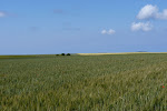 http://lh3.ggpht.com/-IA4bgjD4f2s/Tf5cSXr3_2I/AAAAAAAAAyI/keNNJfndEwQ/Yport%252520%252528116%252529.JPG