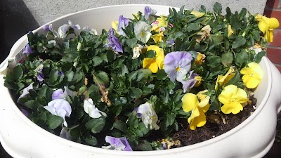 2014-04-01 10.04.28.jpg