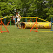 1. Mai 2011 005.jpg