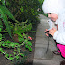 DSC_2210.JPG