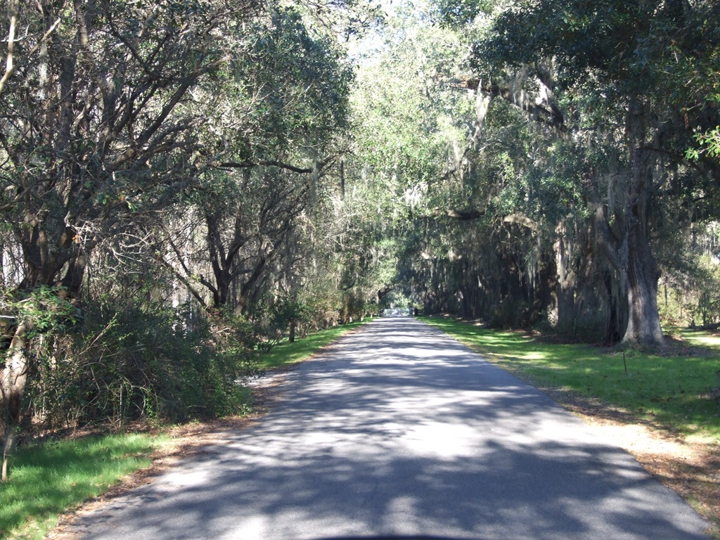 [DSCF8630%255B4%255D.jpg]