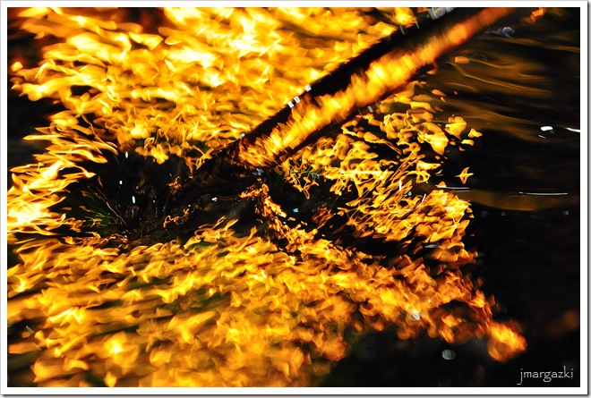 DSC_6288 DSC_6288