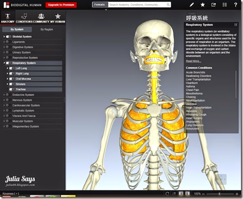 biodigital06