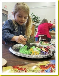 IMG_5338 IMG_5338