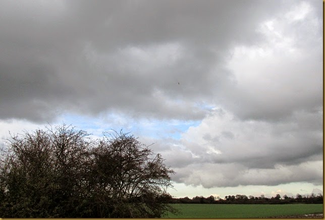 IMG_2208 IMG_2208