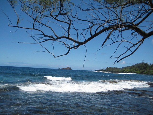 [IMG_2640%255B3%255D.jpg]