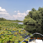 DSCN3071.JPG