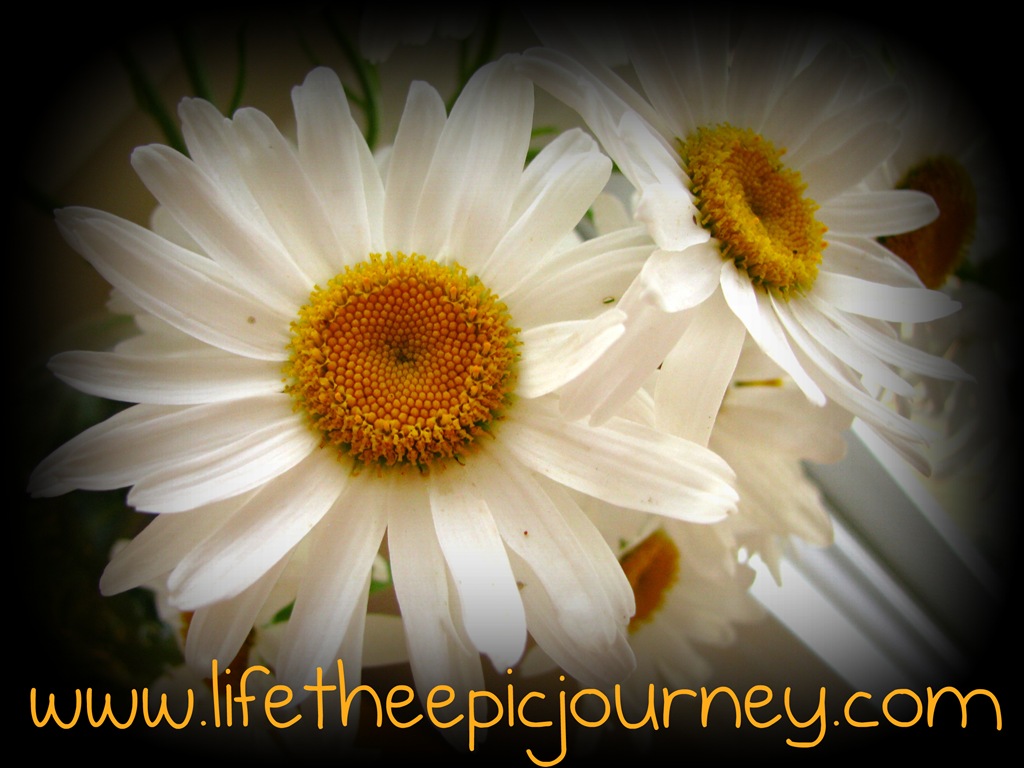 [lifetheepicjourney%255B5%255D.jpg]