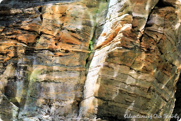 starved rock 16
