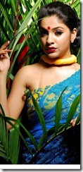 archana kavi hot in saree_pic