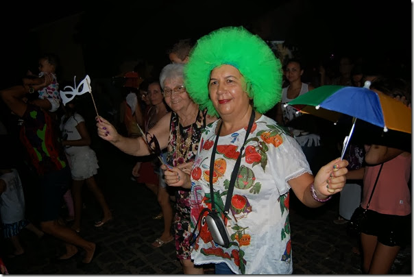 carnaval dos idosos3 2014