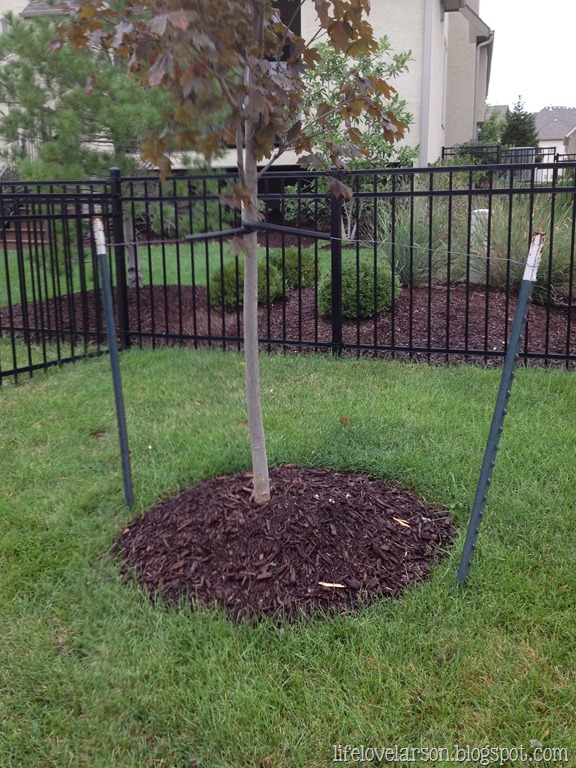 [IMG_0268%255B8%255D.jpg]