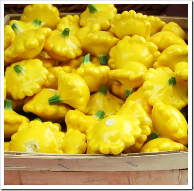 pattypan squash taliaferro