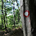 2011.09.11. - Trdinov vrh