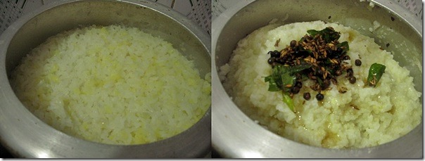 pongal tile 2