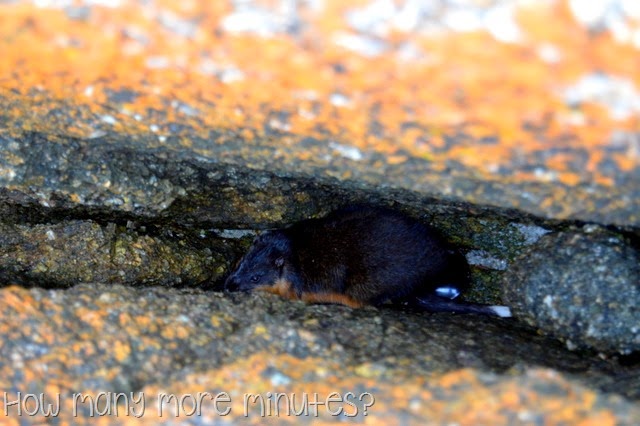 [DSC_27992.jpg]