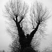 P1059245-1.JPG