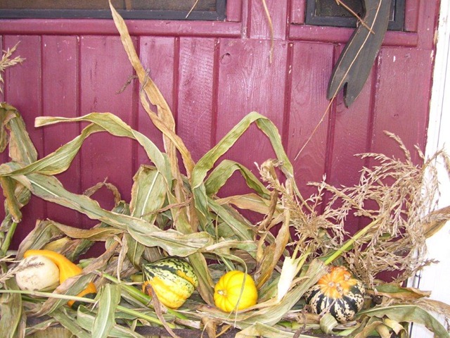 [closeup%255B3%255D.jpg]
