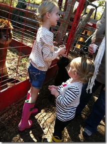 IMG_2262 IMG_2262