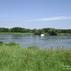 niemiecki jachcik na rz. Odrze dsc05768.jpg