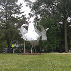CIMG0959.JPG