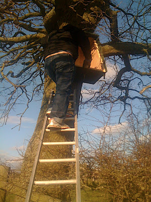 Fixing the frontage back on - a little tricky while balancing on  the ladder!