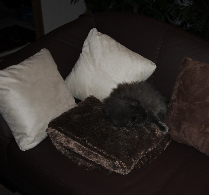 [IMG_7998%255B4%255D.jpg]