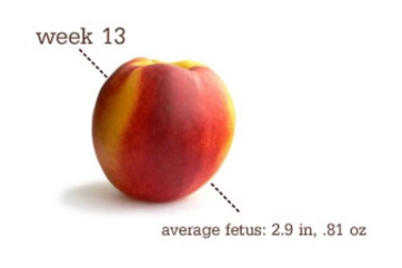 week13