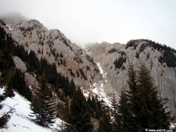 DSC09513.JPG