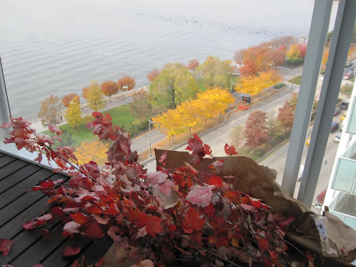 The colors of the leaves will be the perfect touch to my home to create an ambience of the season.