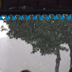 Extrema Outdoor 2008_2682954701_o.jpg