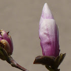 P1030419.JPG