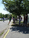P5231452.JPG