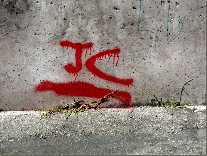 IMG_7730 IMG_7730