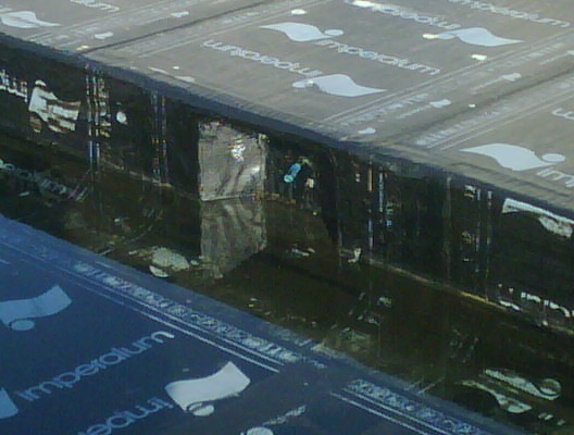 [IMG00791-20111031-0916%255B2%255D.jpg]