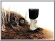 Halloween Zombie 8