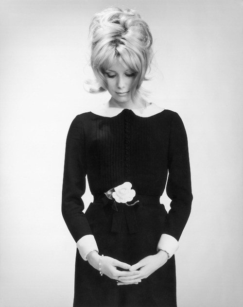 Photo studio : plan de face de Catherine DENEUVE tкte baissйe, posant dans une petite robe noire а col blanc, la jeune comйdienne coiffйe dans un style choucroute.