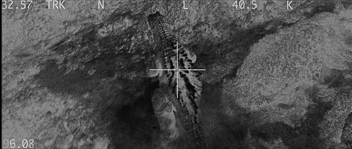 [Godzilla-GMK-Bombed2.jpg]
