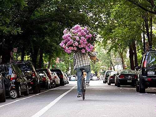 [a-flower-delivery-10%255B4%255D.jpg]