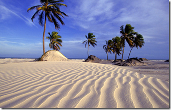 Brazil - Desert, oaza and ocean