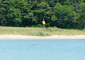 Osprey sitting on a sign that said something like Do Not Walk on Protected Area