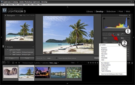 choose effect to paint with adjustments brush in photoshop lightroom choose effect to paint with adjustments brush in photoshop lightroom