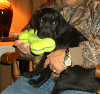 Sittin' on Dad's Lap-
Nyx