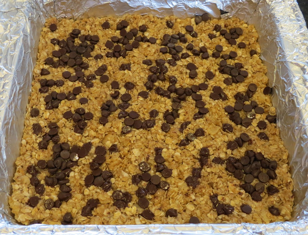 [No-Bake-Chewy-Chocolate-Chip-Granola%255B1%255D.jpg]